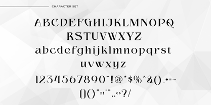 Misologist Font Poster 10