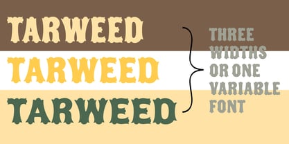 Tarweed Font Poster 4