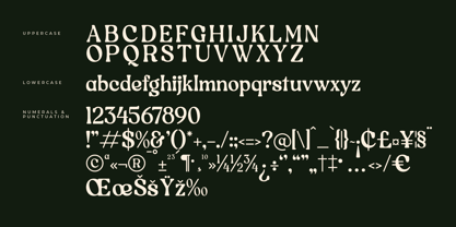 Ragenik Font Poster 7