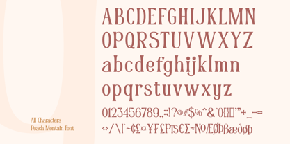 Peach Montain Font Poster 8