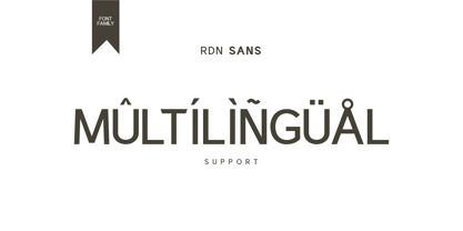 Rdn Sans Font Poster 7