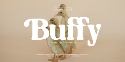 Buffy Serif Fuente Póster 1