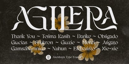 Agilera Font Poster 15