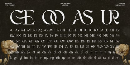 Agilera Font Poster 10