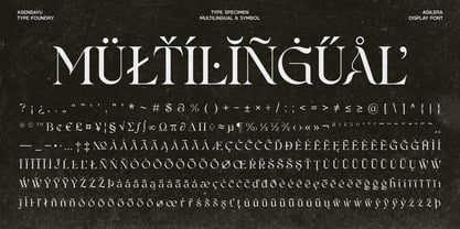 Agilera Font Poster 14