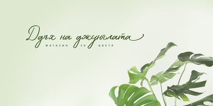 Wella Atimbo Cyrillic Font Poster 8