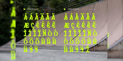 Skatecato Font Poster 3