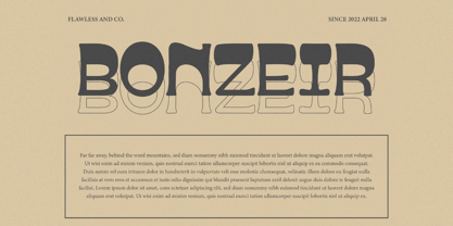 Bonzeir Font Poster 3