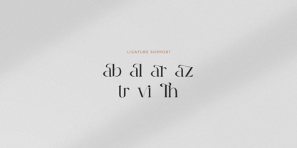 The Devine Font Poster 11