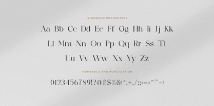 The Devine Font Poster 9