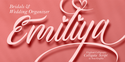 Calligata Script Font Poster 3