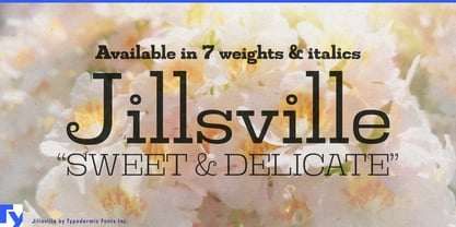 Jillsville Font Poster 1