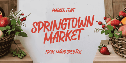 Springtown Market Font Poster 1