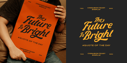 Cinnamon Feast Font | Webfont & Desktop | MyFonts