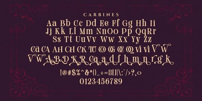 Carbines Font Poster 9
