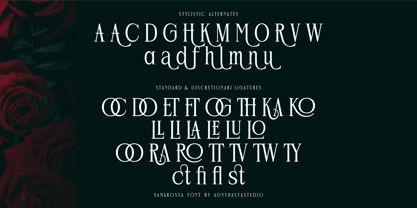 Samarossa Font Poster 12