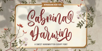 Sabrina Darwin Font Poster 1