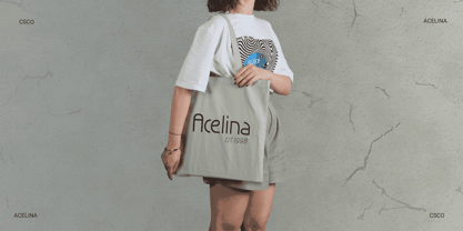 Acelina Font Poster 4