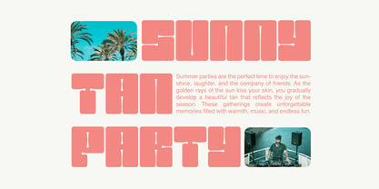 Summer Cosmos Font Poster 3