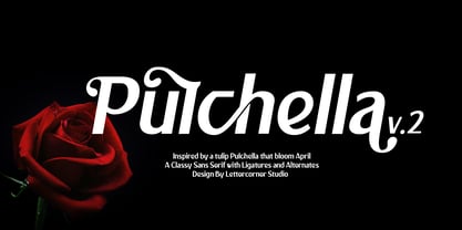 Pulchella V2 Font Poster 1