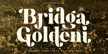 Bridga Goldeni Font Poster 1