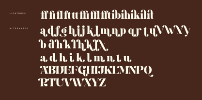 Bridga Goldeni Font Poster 8