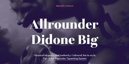 Allrounder Didone Big Font Poster 1