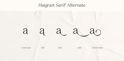 Haigrast Serif Font Poster 11