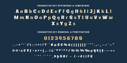 Ridasbin Font Poster 10