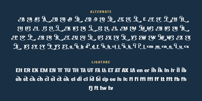 Ridasbin Font Poster 12