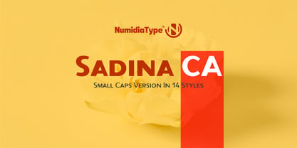 Sadina CA Font Poster 1