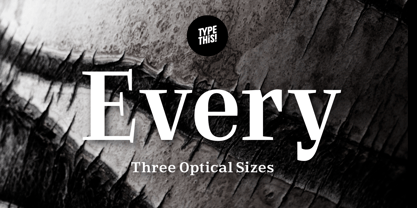 Every Font Poster 1