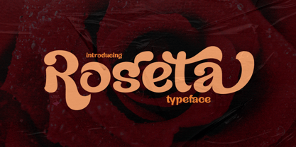 Roseta Font Poster 1