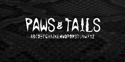 Paws & Tails Font Poster 1