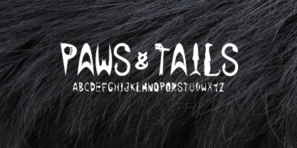 Paws & Tails Fuente Póster 2