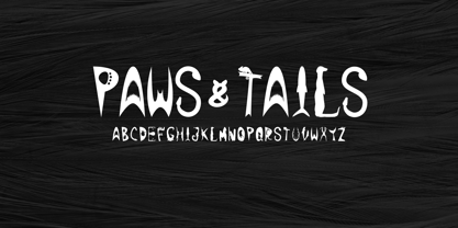 Paws & Tails Fuente Póster 3