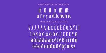 Magrefin Font Poster 8