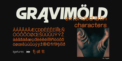 Gravimold Font Poster 15