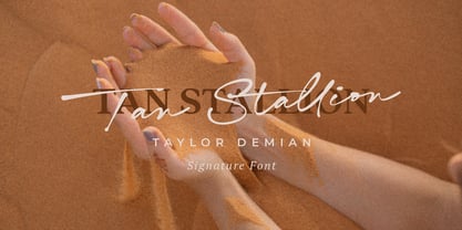 Taylor Demian Script Font Poster 2
