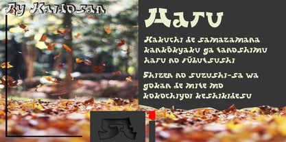 Neo mameo Font Poster 8