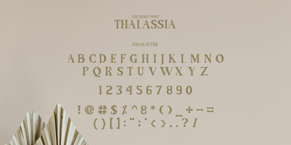 Thalassia Font Poster 6