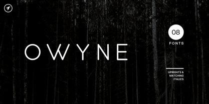 Owyne Font Poster 1