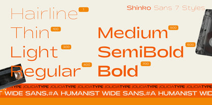 Shinko Sans Font Poster 2