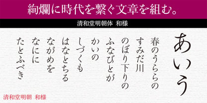 Seiwa Min Wayou Std Font Poster 1