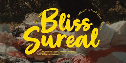 NCL Bliss Sureal Font Poster 1