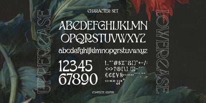 Reimbrandt Font Poster 6