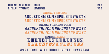 Dasport Font Poster 9