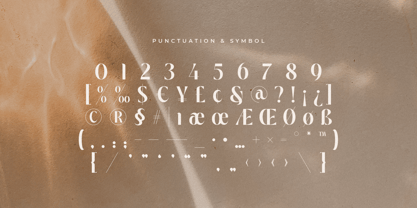 Styptic Font Poster 14