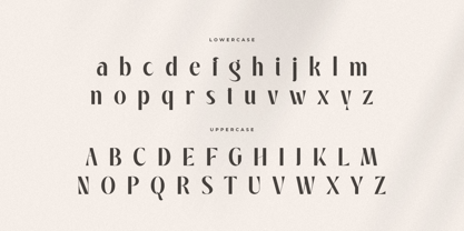 Styptic Font Poster 13