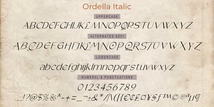 Ordella Font Poster 11